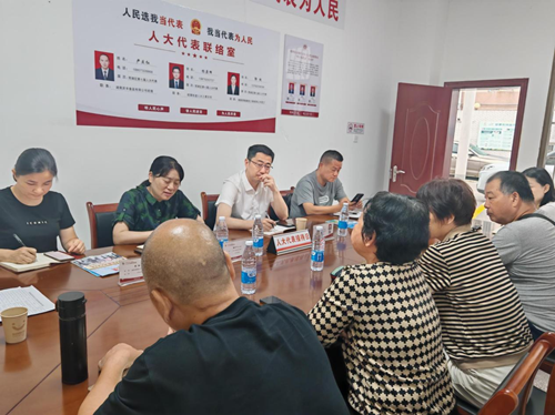 昭潭街道：办实事 解难题 人大代表献力量