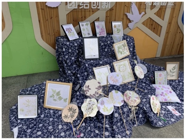 风车坪学校：开展非遗植物拓印跨学科实践活动