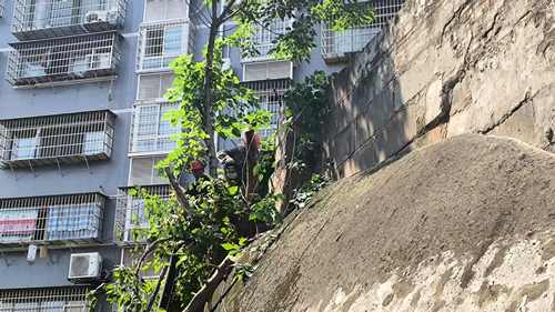 砂子岭社区：排危除险 为民解忧护平安