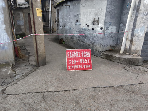 广园社区迅速响应，成功处理危树隐患