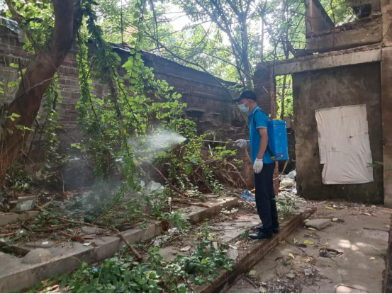 韶山路社区：开展病媒生物集中消杀行动