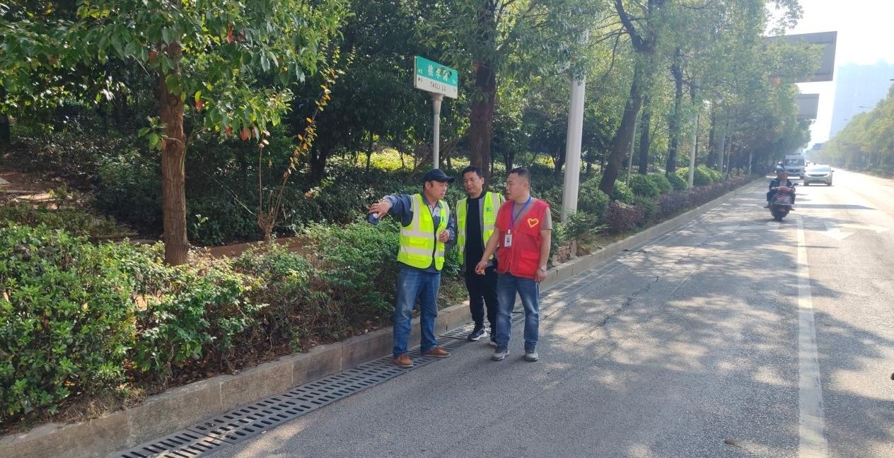 桃李社区开展辖区内涝风险隐患排查 筑牢社区防汛安全防线