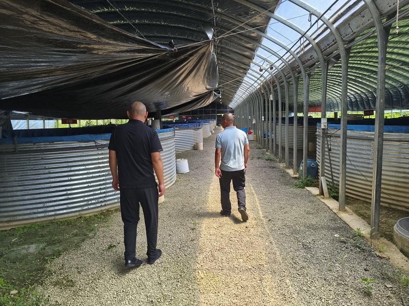 筑牢水产品质量安全防线 守护群众的“舌尖安全”——鹤岭镇开展水产品质量监测工作