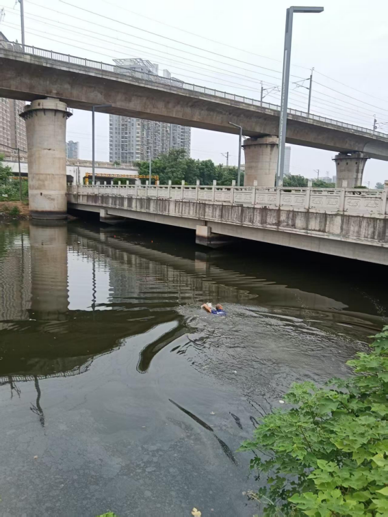 万楼社区：社区居民路遇溺水挺身出，见义勇为显担当