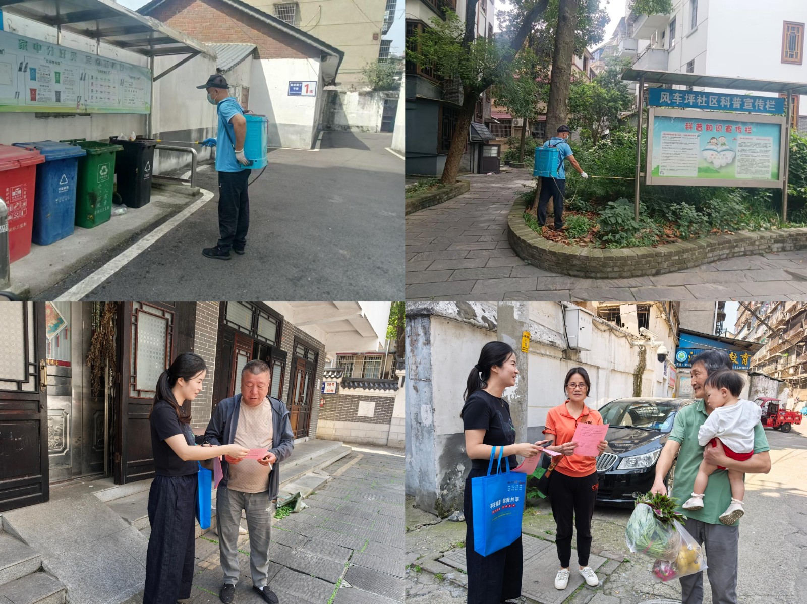 风车坪社区：集中消杀病媒 预防疾病传播