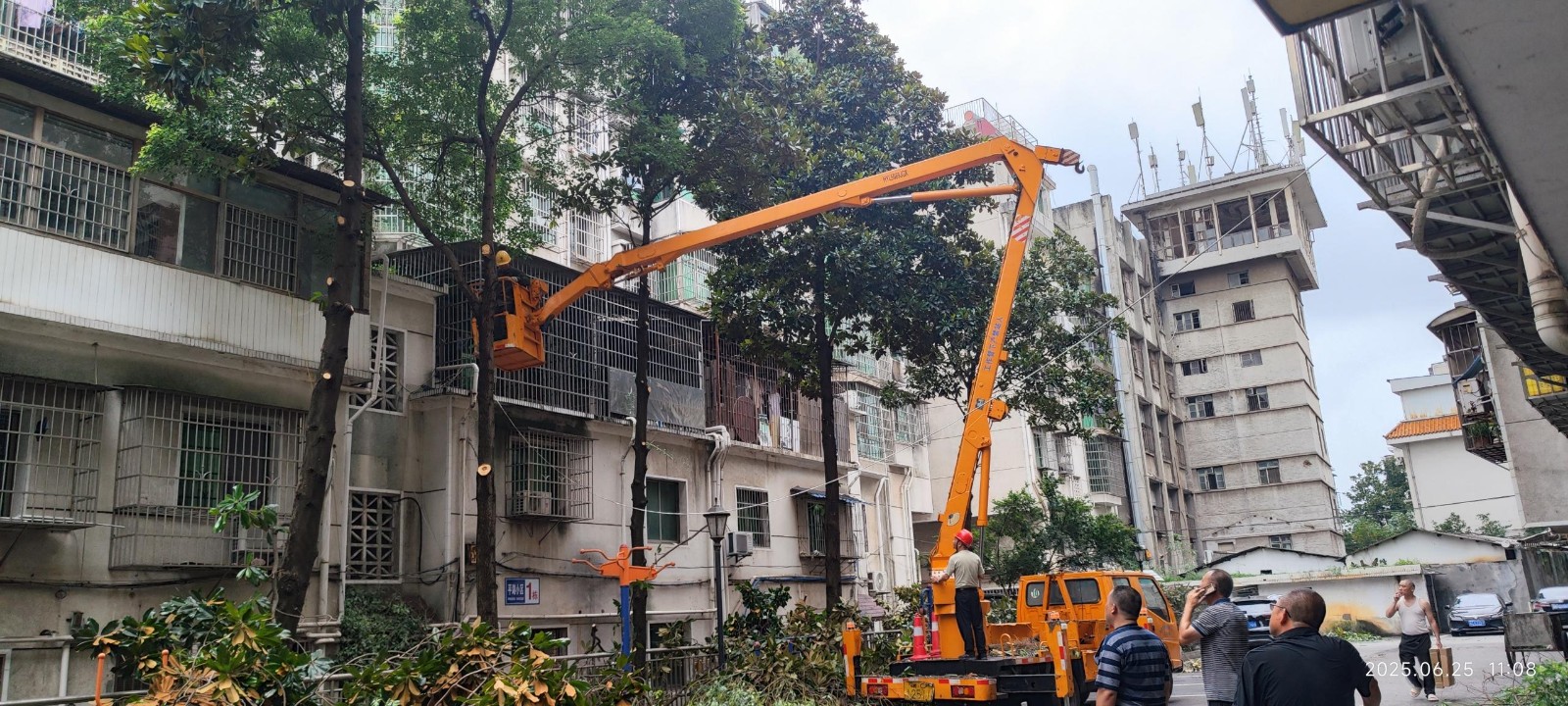【我为群众办实事】关圣殿社区：修剪树木除隐患 为民解忧暖人心