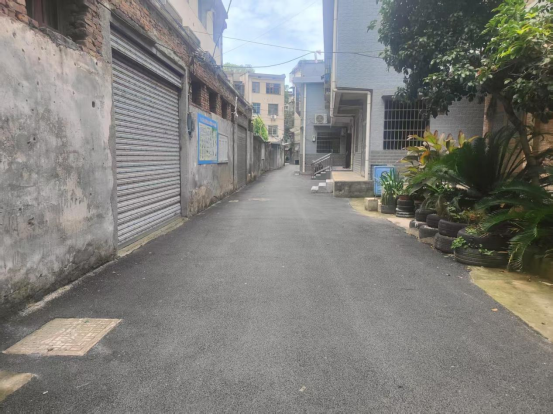 杉树巷社区：党建引领聚合力   “糟心路”变身“顺心道”