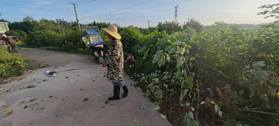 联映村：晨光中的守护，乡村道路焕新记