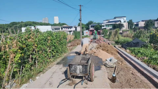 云塘街道“樟树村”路面拓宽改造工程竣工，城中村出行难题获解