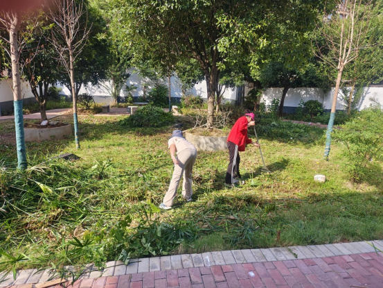 万新社区：“我爱湘潭我的家”环境整治行动，让幸福家园焕新颜