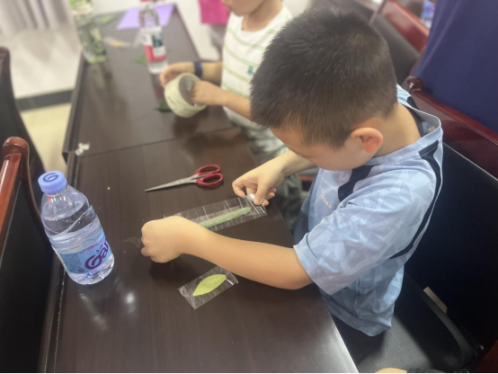 爱国社区：拾叶成签藏夏趣，童心执帚绘绿园