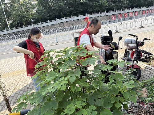 唐兴寺社区：高温下的“健康守护战”