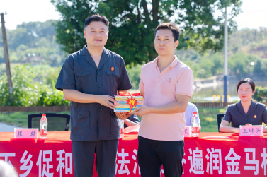 金马村与雨湖区人民法院开展“法治服务基层行”党日活动