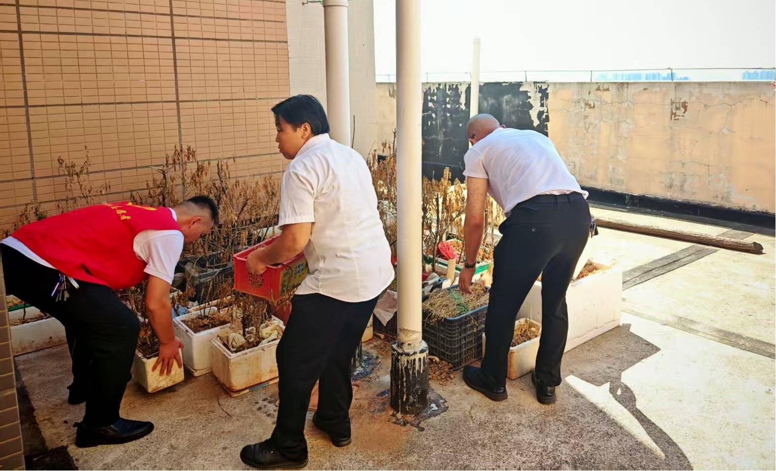 民乐社区开展“我爱湘潭我的家”环境整治行动，共筑美好家园