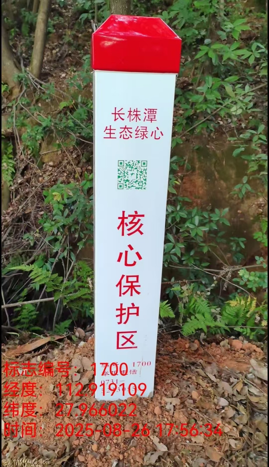 智能物联助护绿，争分夺秒抢施工——雨湖区高效完成智能绿心保护标志安装