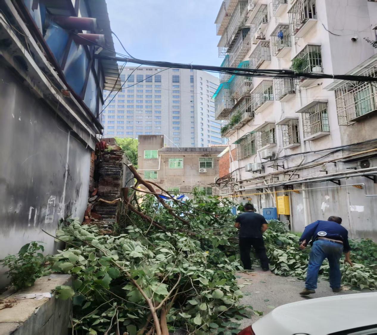 雨湖路社区与区城管局携手迅速处置暴雨后的安全隐患
