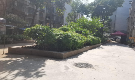 听民意、解民忧！杉树巷社区联动区住建局破解“拆绿通路+治涝”难题获双赞