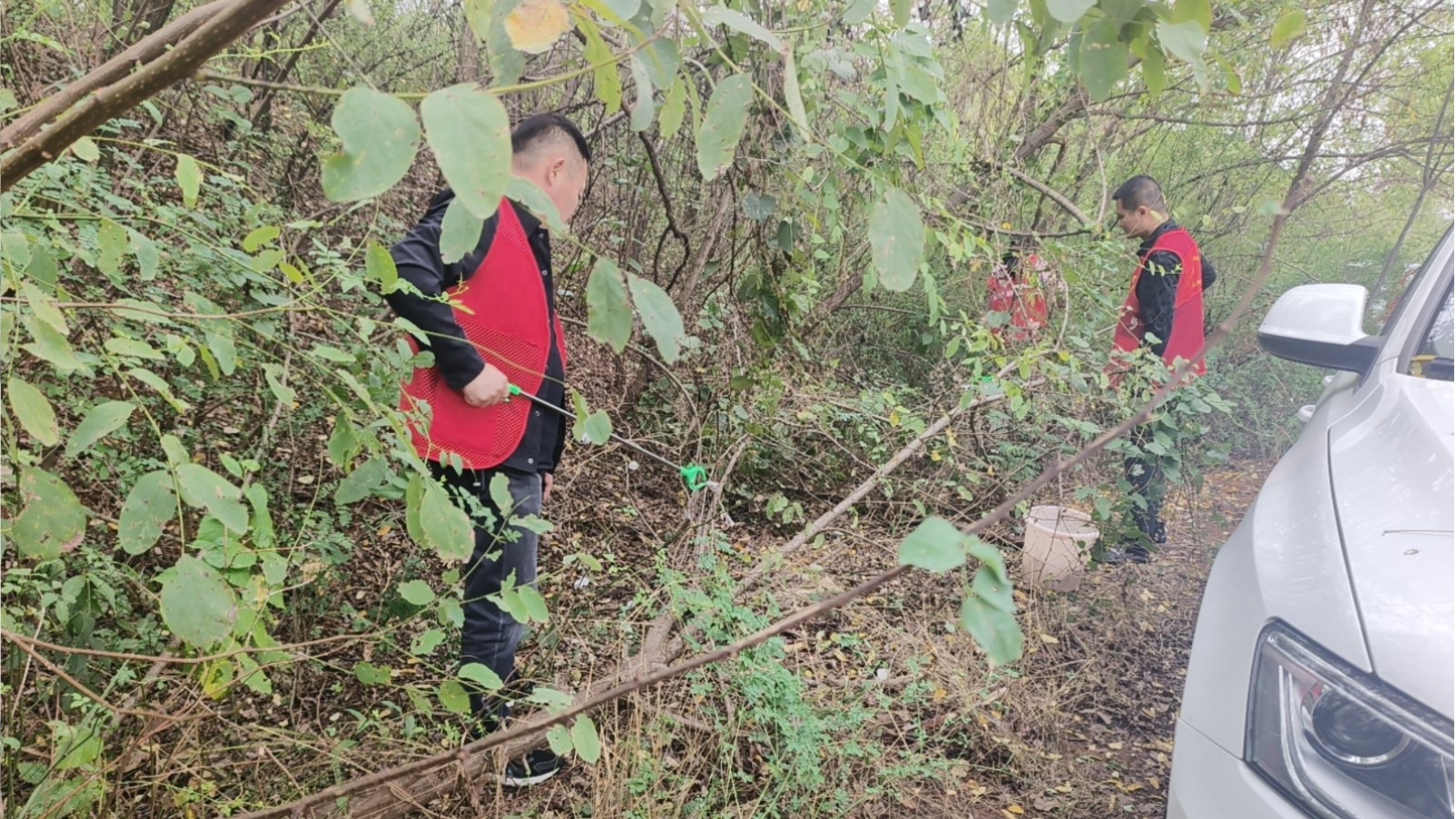 和平街道人大工委牵头志愿行动，扮靓高铁站喜迎国庆中秋