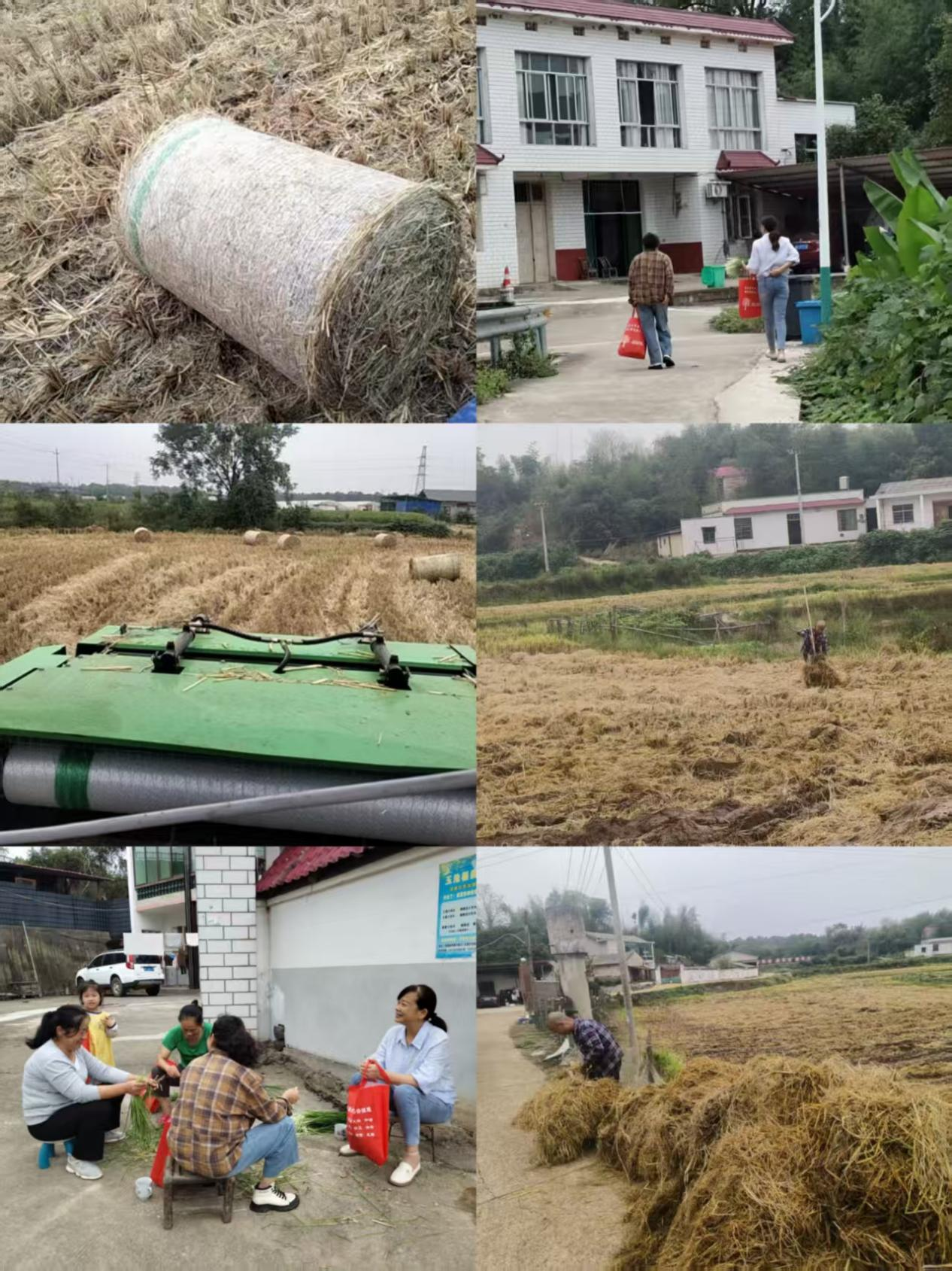 响水乡：三措并举筑牢大气污染防治屏障，推动秸秆综合利用见实效