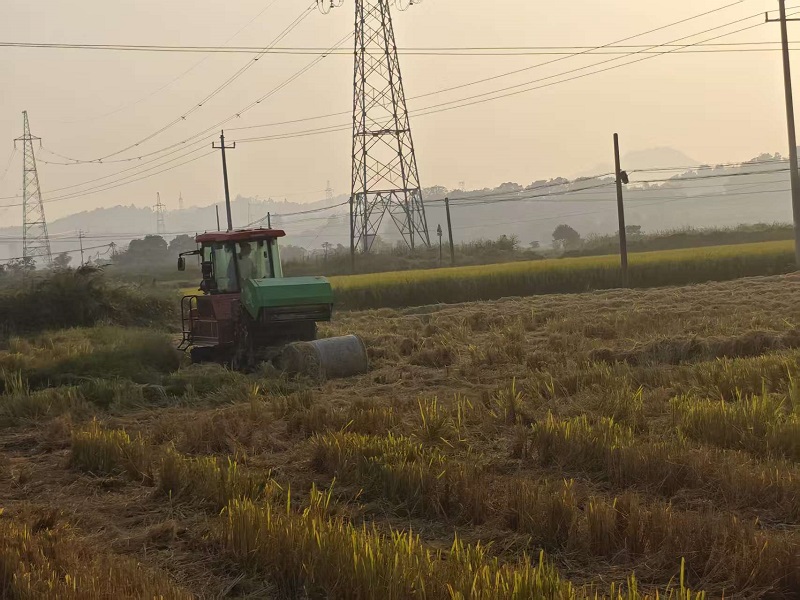 鹤岭镇：秸秆回收再利用 “稻草书记”有妙招