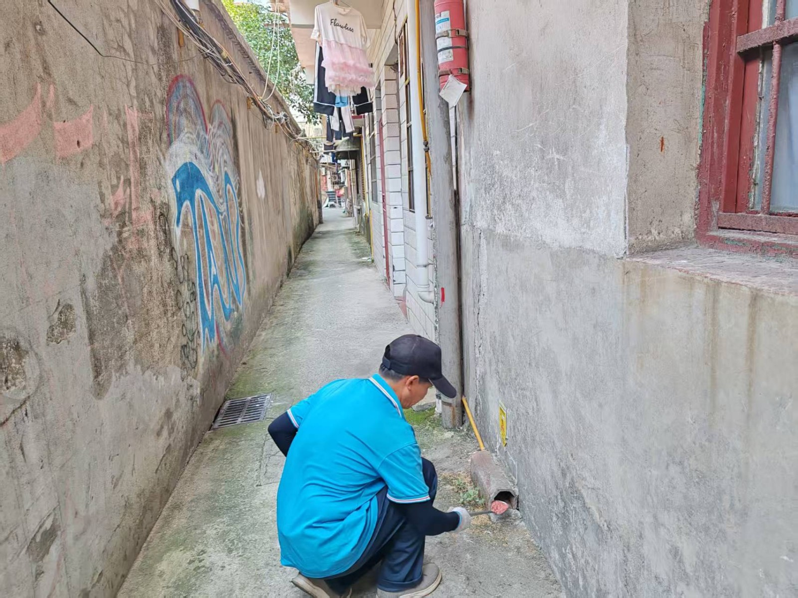 筑牢健康防线！风车坪社区开展鼠药投放专项消杀行动