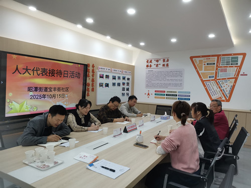 昭潭街道：区人大代表走进宝丰街社区零距离听民意