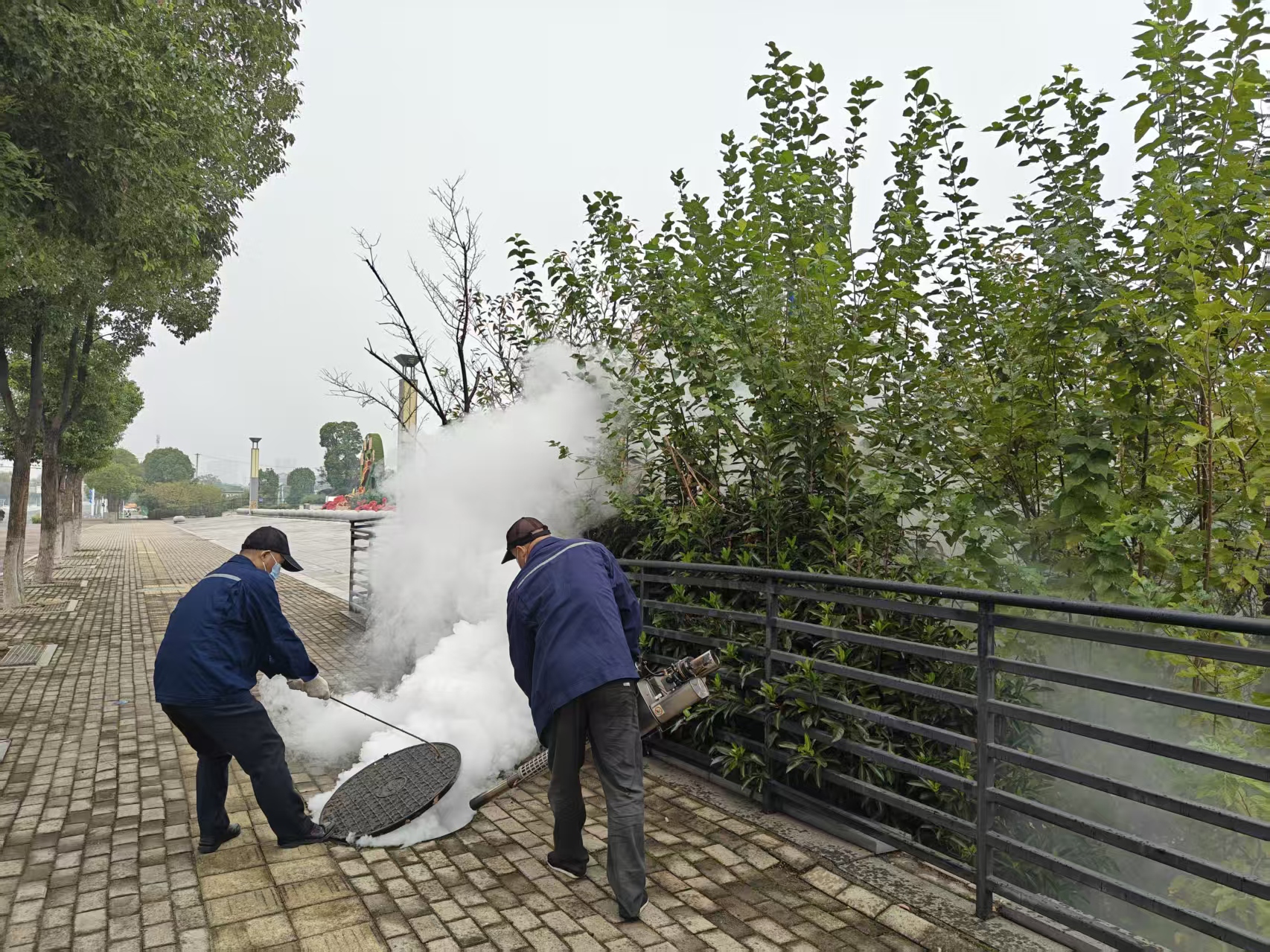 ​雨湖区秋季集中防蚊灭蚊消杀工作全面展开