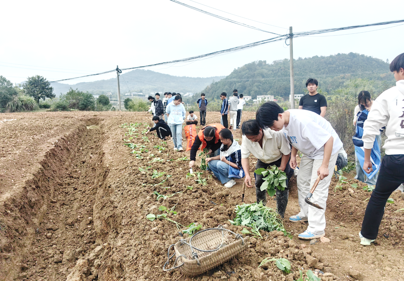 雨湖区妇联：“耕读传情 赋能成长”实践活动启动