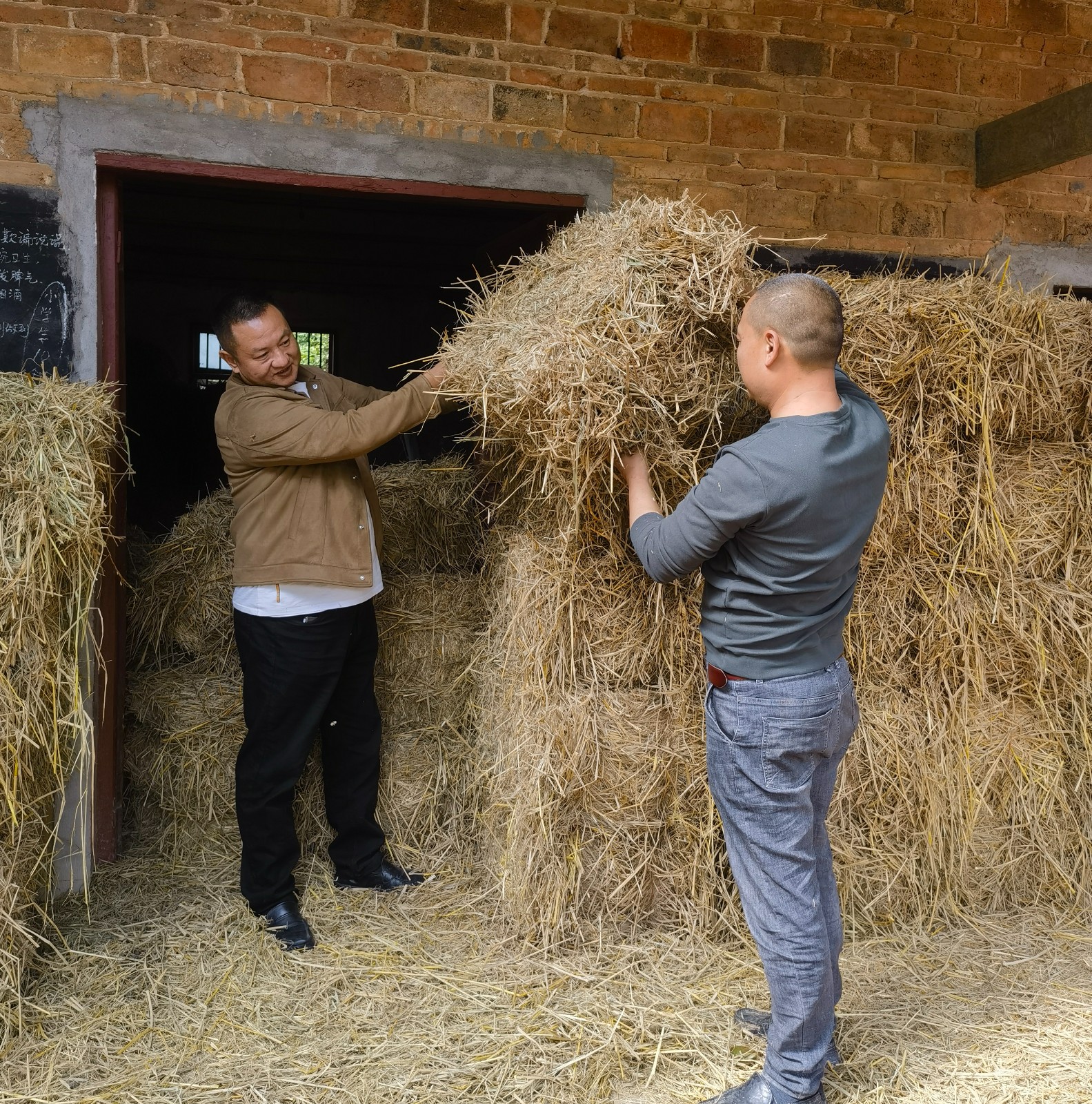 区人大代表杨成效：以稻草回收巧解禁烧难题，为湘潭家园添绿增富