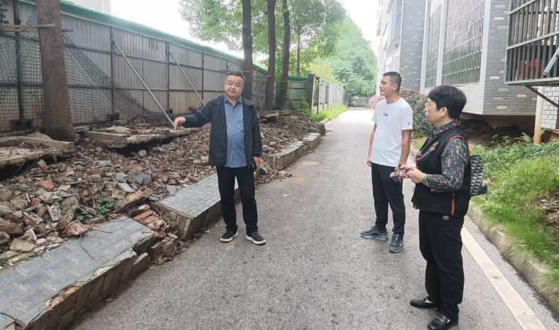 桃李社区功能型党支部联动人大共筑“安心围墙”