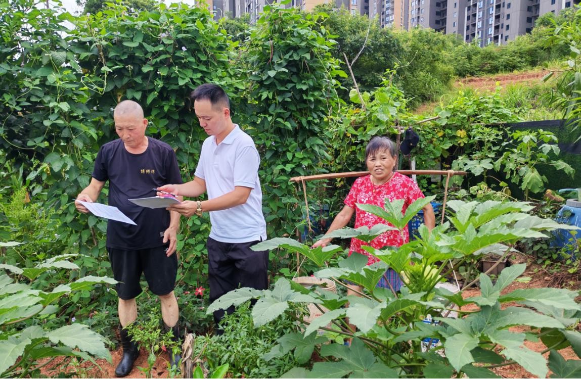 民乐社区开展“我爱湘潭我的家”露天焚烧管控专项行动