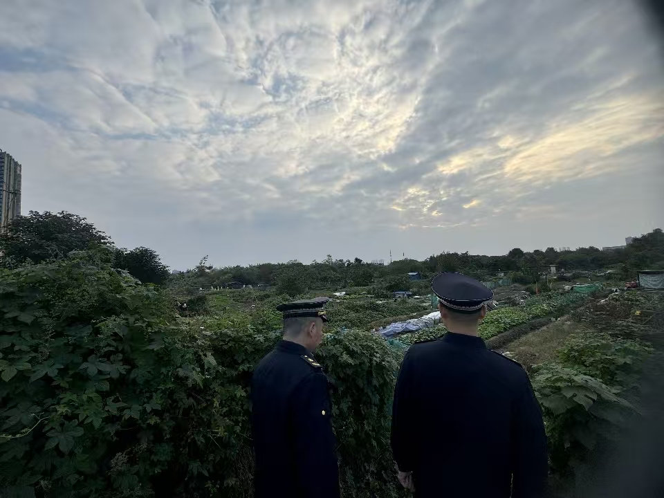 万楼街道：织密防控网，守护“万楼蓝”