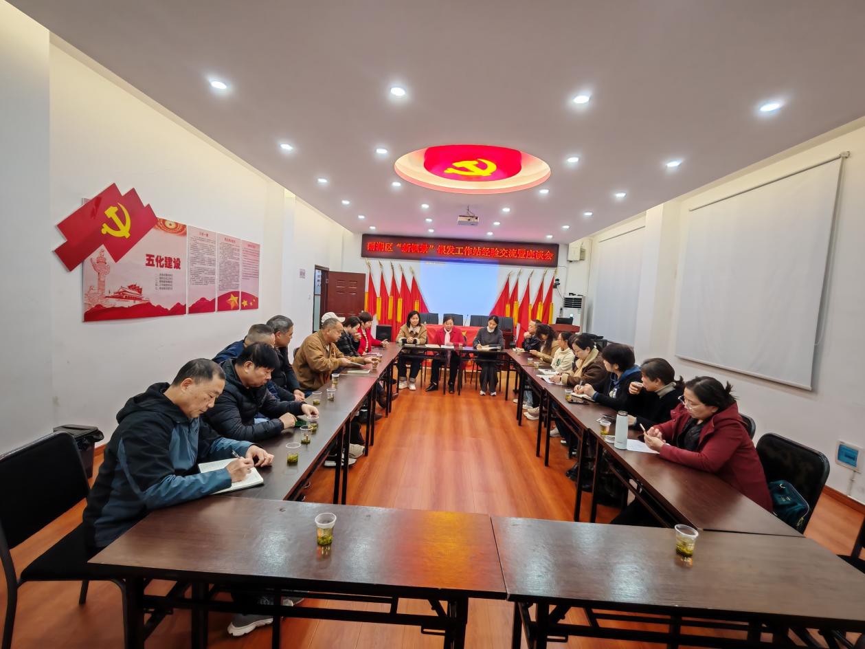 雨湖区召开“新枫景”银发工作站经验交流会