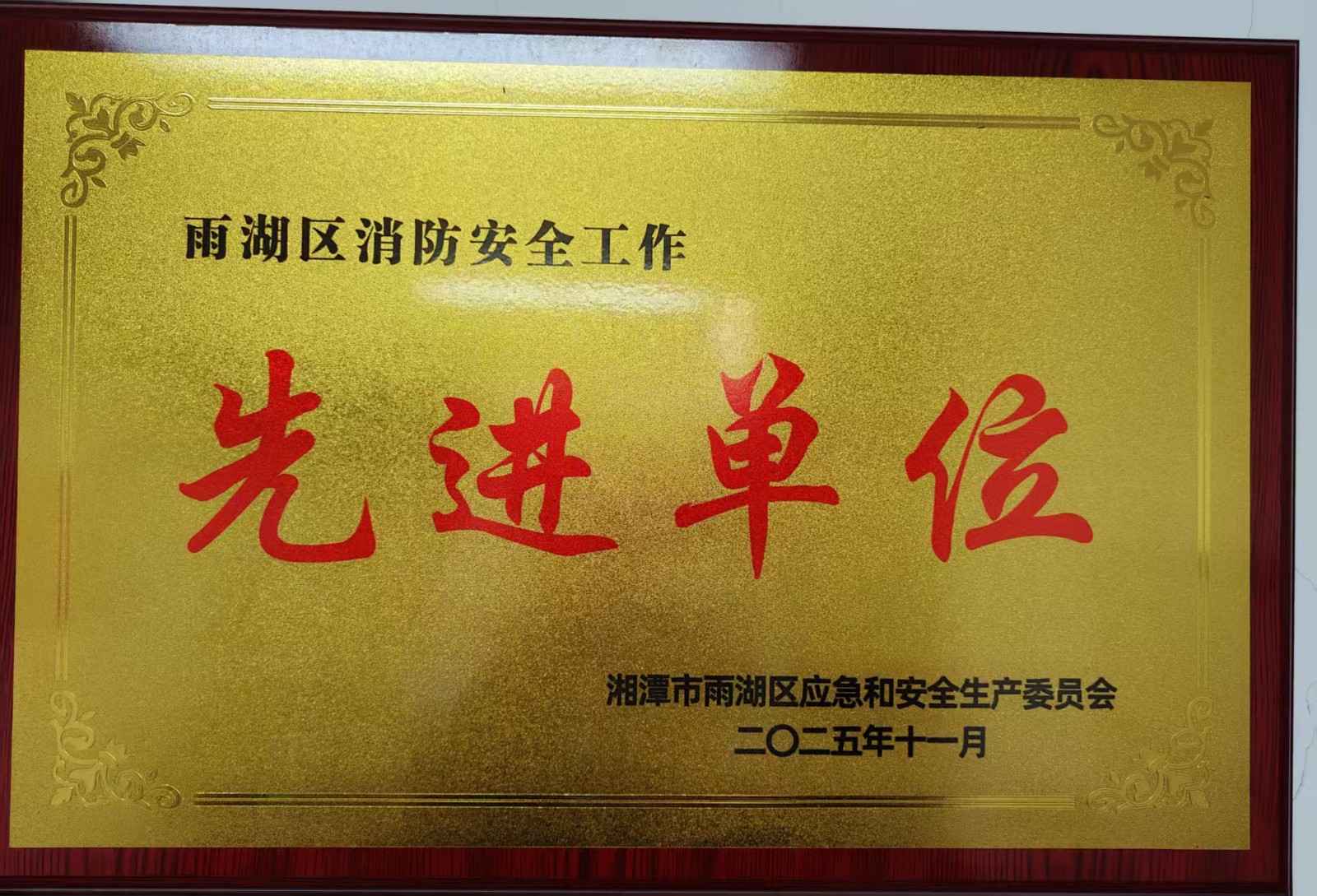 雨湖区住建局荣获2025年度“消防安全工作先进单位”称号