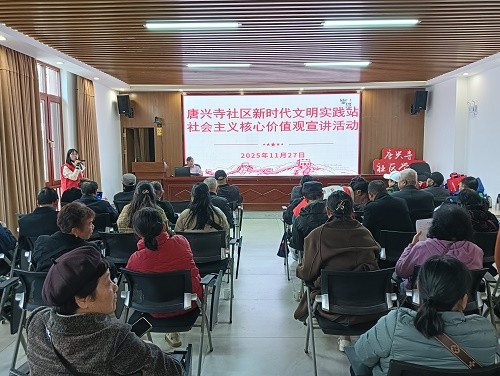 唐兴寺社区新时代文明实践站开展社会主义核心价值观宣讲活动