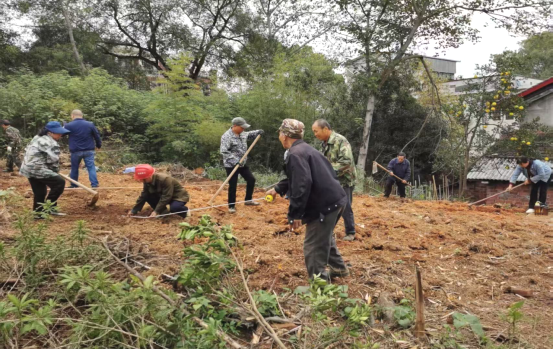 【乡村振兴】白鹭湖村：我爱湘潭我的家，庭院果香富农家