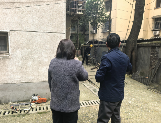 火车站社区联动区城管局绿化队：整治老旧树木隐患 守护居民出行安全