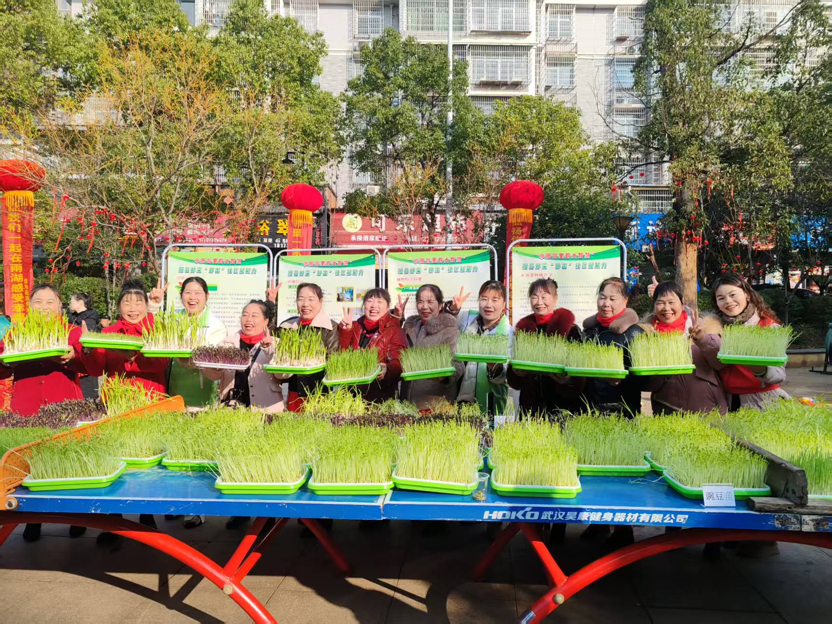 “小阳台里的大智慧”绿色水培菜种植推广活动在吉利社区举行