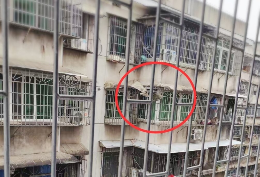 关圣殿社区：居民上报+社区处置 24小时快速消除安全隐患