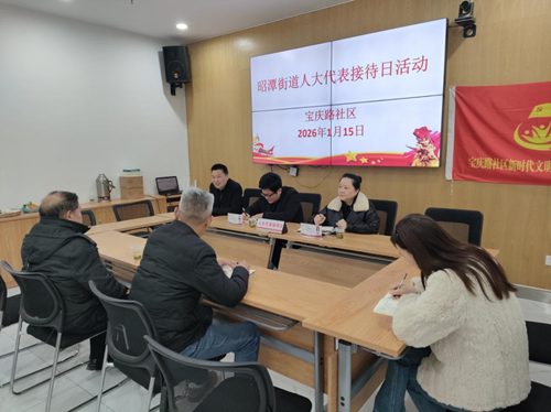 宝庆路社区：代表听民声 履职显担当