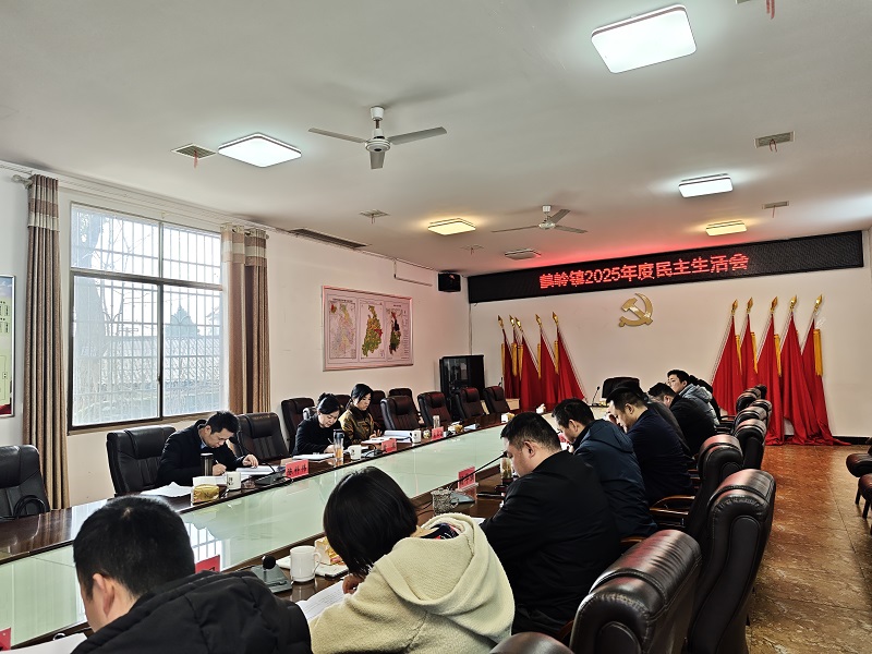 鹤岭镇领导班子2025年度民主生活会召开