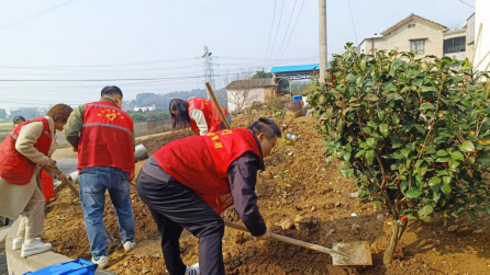 清泉村：植此青绿不负春光，志愿服务添美家园