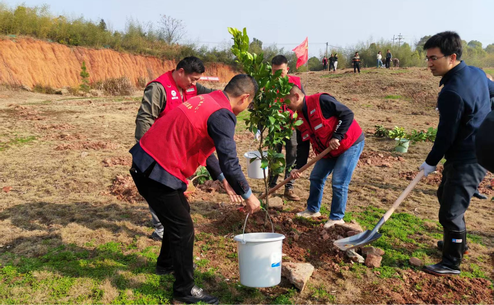 党旗引领植新绿 共建桃李“先锋林”  ——桃李社区开展党员植树主题党日活动
