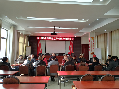 鲁班殿社区养老保险全覆盖专题宣传活动