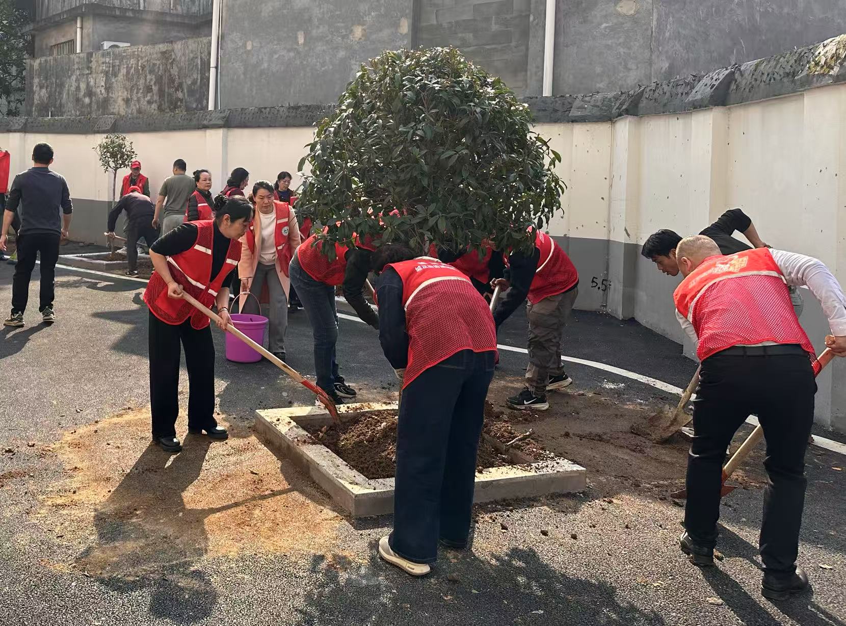 携手共植新绿 扮靓美好家园—熙春路社区开展植树节志愿服务活动