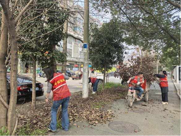 先锋街道：全员下沉开展环境卫生清扫暨护绿行动