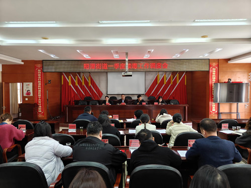 昭潭街道召开2026年一季度禁毒工作调度会