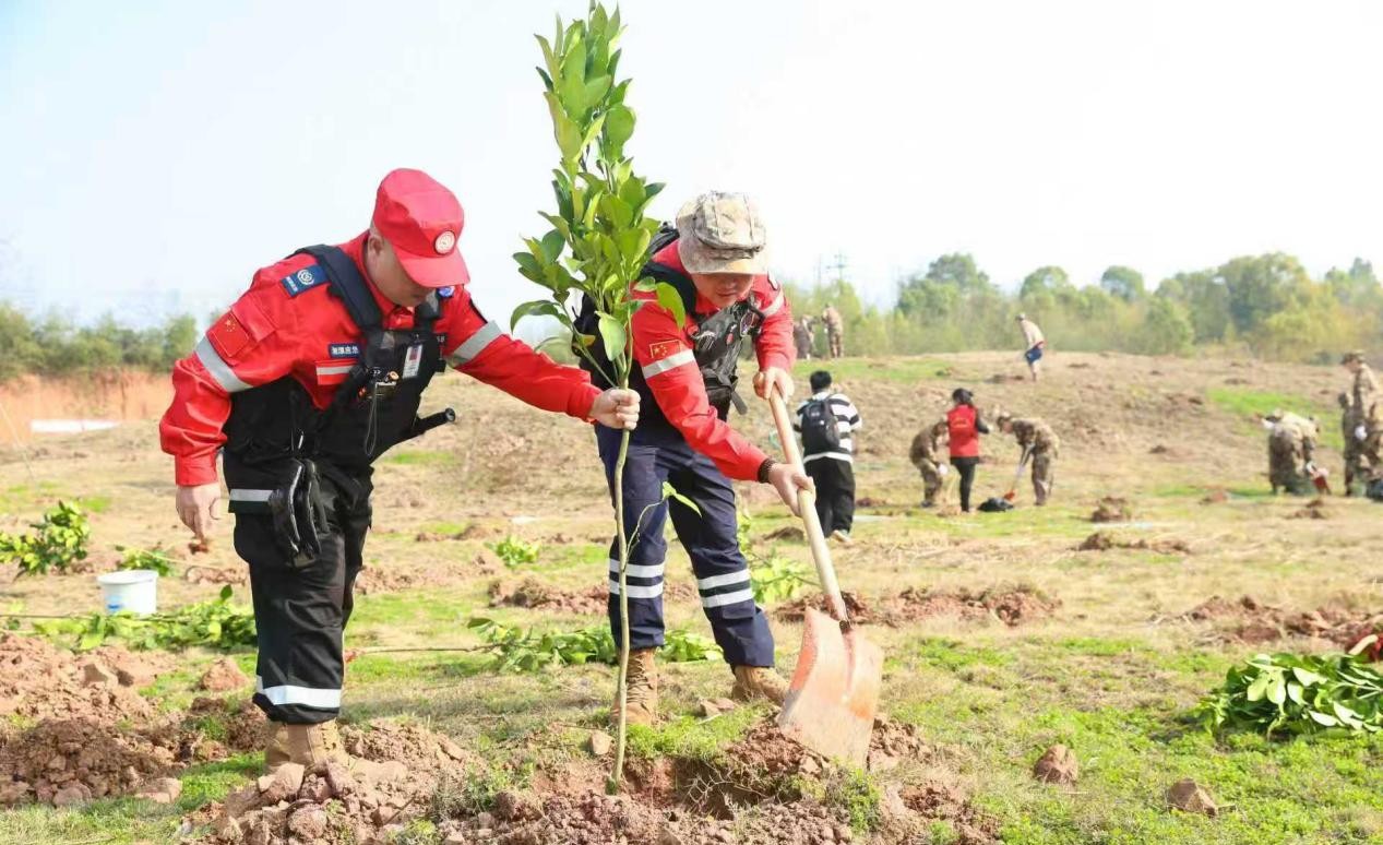 植绿护绿绘底色 洁净美家园暖民心——桃李社区：“双提升”志愿服务暖初春