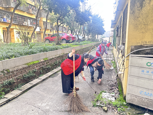 提效能、优服务、惠民生 —— 罗祖殿社区扎实推进 “双提升” 攻坚行动