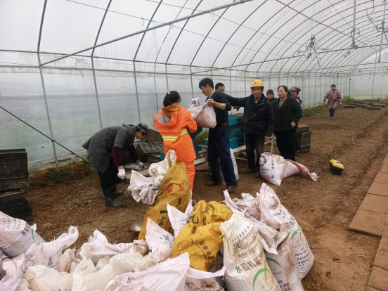 春耕正当时 农技助农忙  联映村筑牢水稻丰产 “第一关”